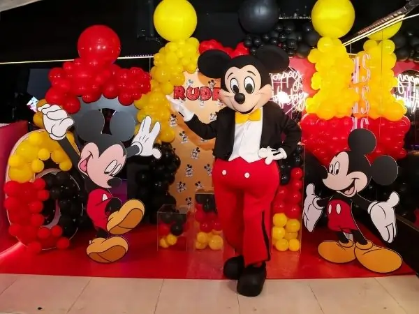 Cartoon Character theme Birthday Party Packages For Kids