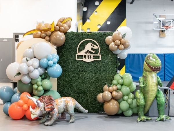 Dinosaur theme Birthday Party Packages For Kids