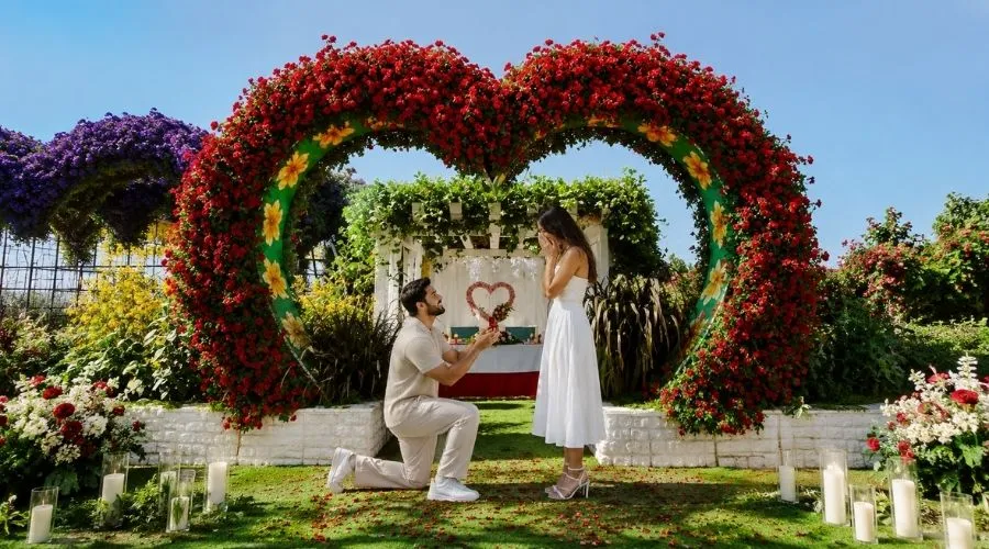 Dubai Miracle Garden Proposal Packages Dubai