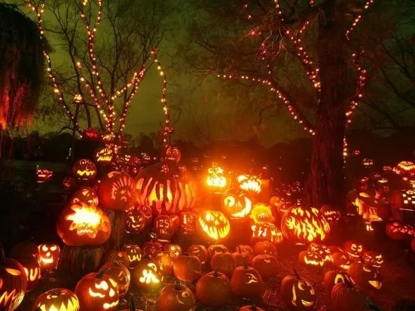 Pumpkin Wonderland Halloween decor Dubai